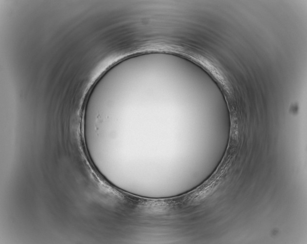 X0000096131094200801251010