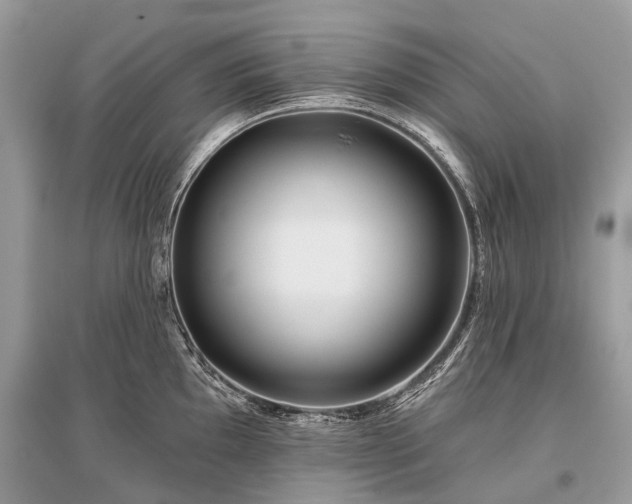 X0000096131097200801251010