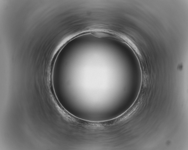 X0000096131101200801251010