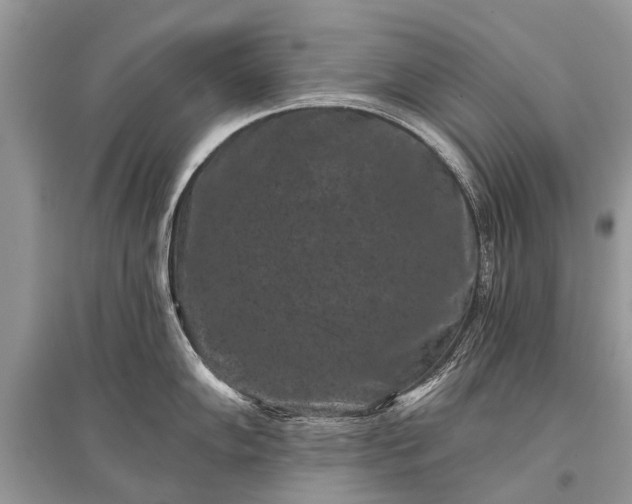 X0000096131102200801251010