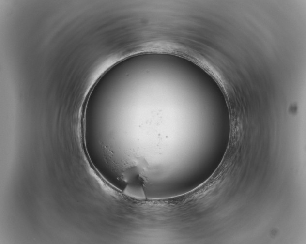 X0000096131103200801251010