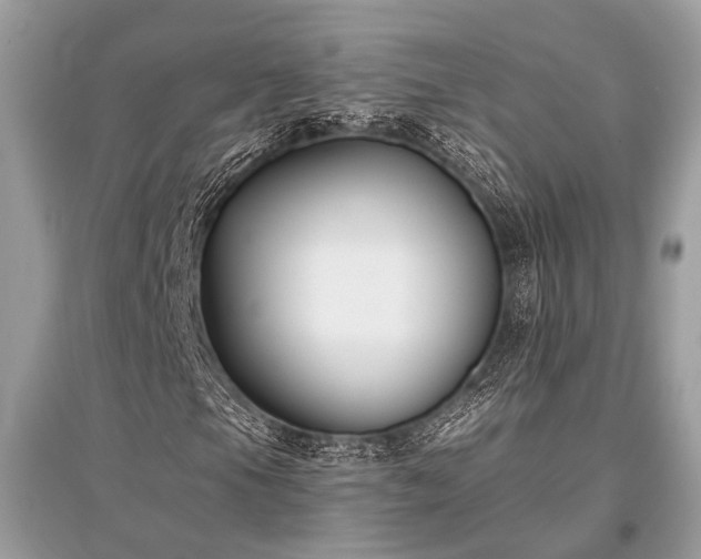 X0000096131105200801251009