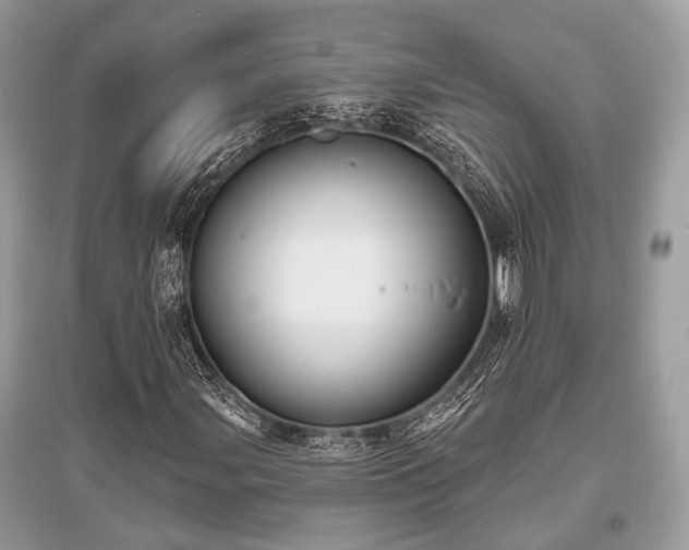 X0000096131107200801251009