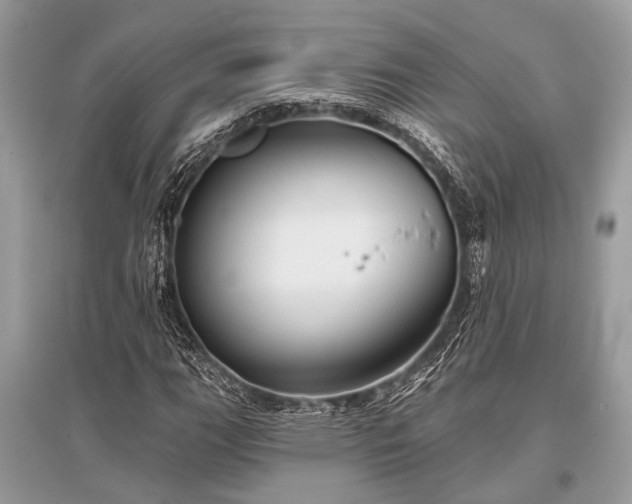 X0000096131111200801251009