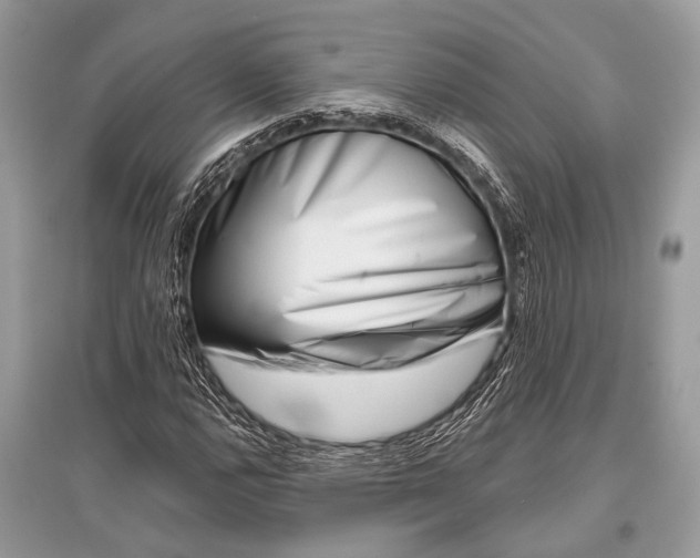 X0000096131112200801251009