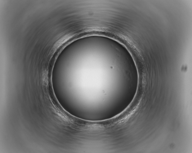 X0000096131113200801251009