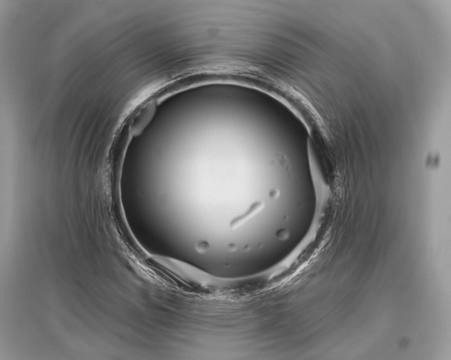 X0000096131114200801251009
