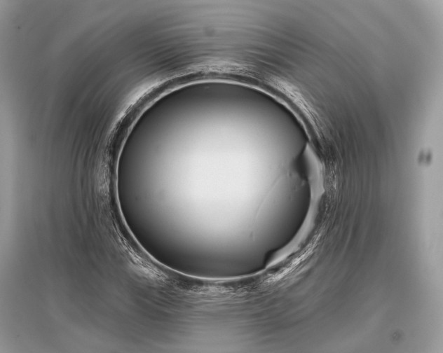 X0000096131115200801251009