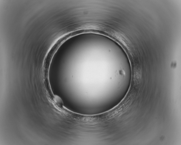 X0000096131116200801251009