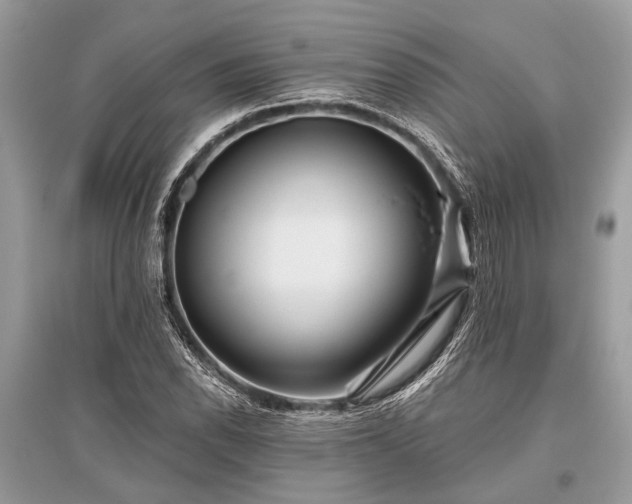 X0000096131118200801251009