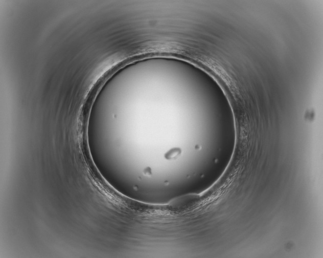X0000096131119200801251009