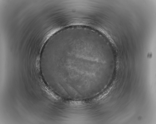 X0000096131121200801251009