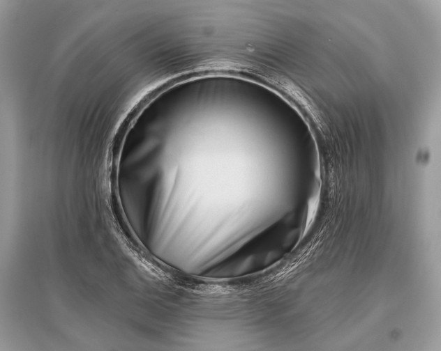 X0000096131124200801251010