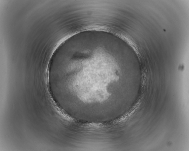 X0000096131125200801251010