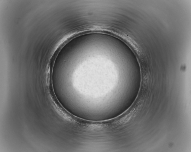 X0000096131126200801251010