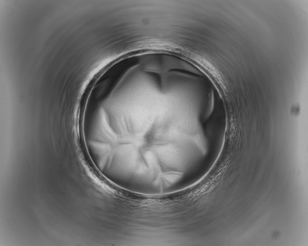 X0000096131128200801251010