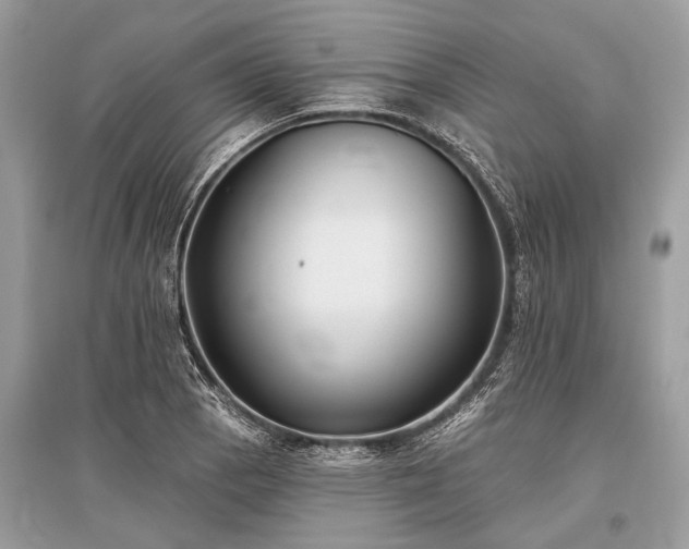 X0000096131129200801251010