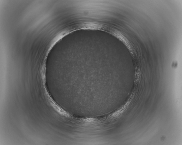 X0000096131130200801251010