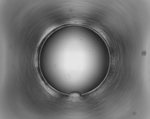 X0000096131131200801251010
