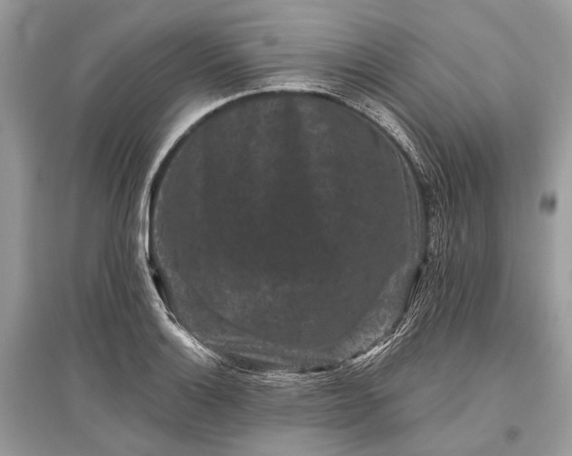 X0000096131132200801251010