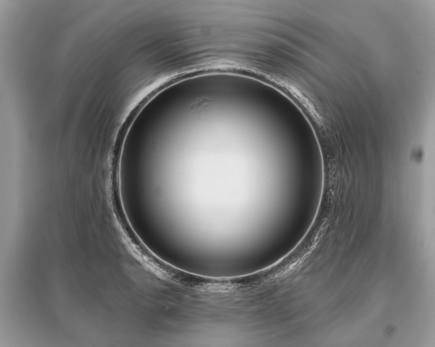 X0000096131134200801251010