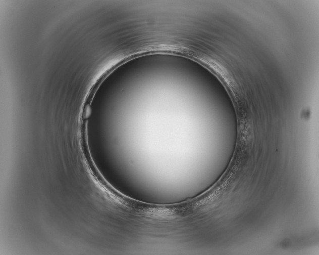 X0000096131135200801251010