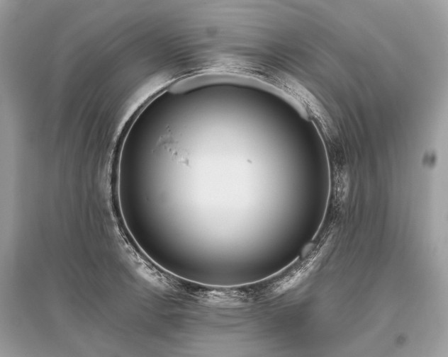 X0000096131138200801251010