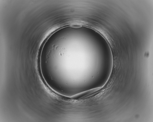 X0000096131139200801251010