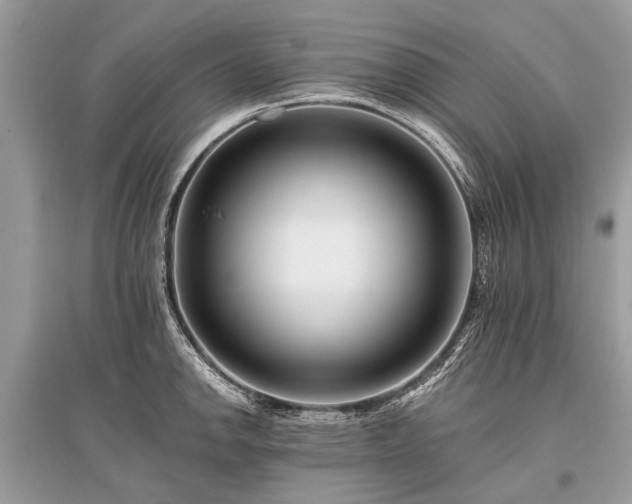 X0000096131142200801251010