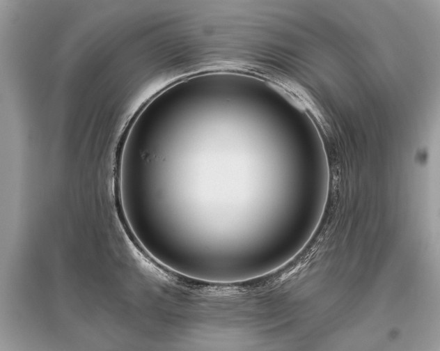 X0000096131143200801251010