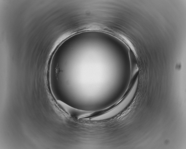 X0000096131146200801251010