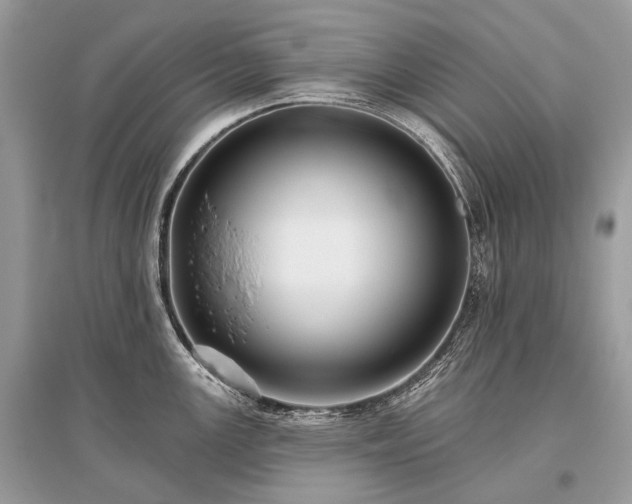 X0000096131147200801251010