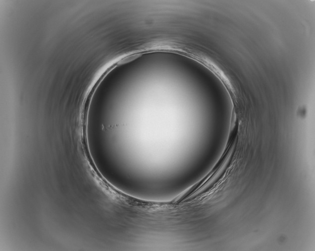 X0000096131148200801251010