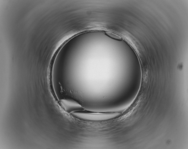 X0000096131149200801251010