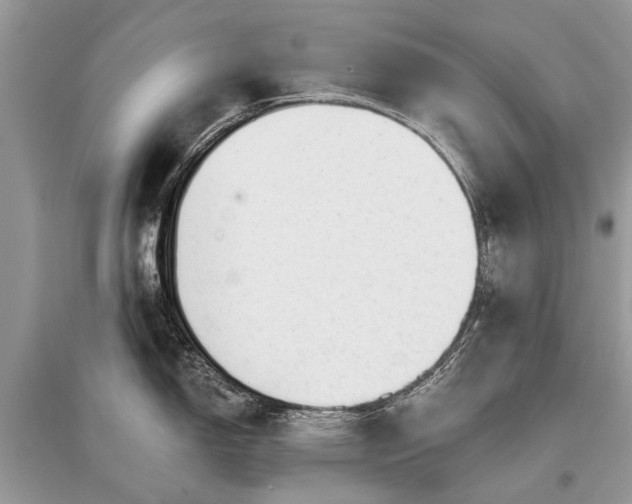 X0000096131150200801251010