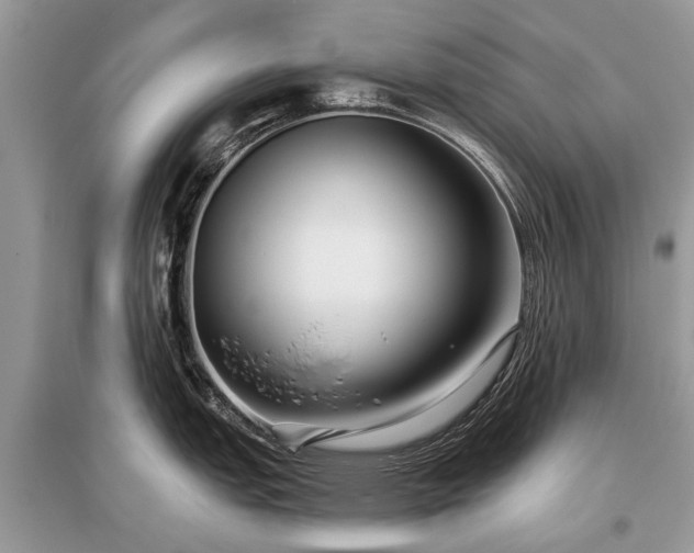 X0000096131151200801251010