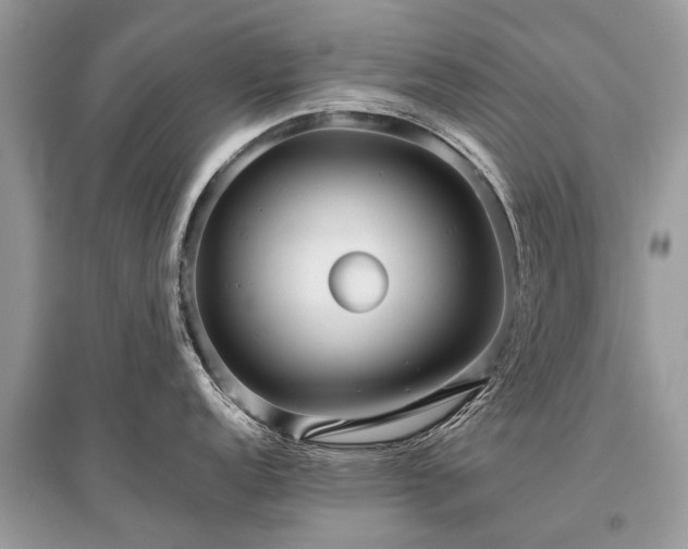 X0000096131152200801251010