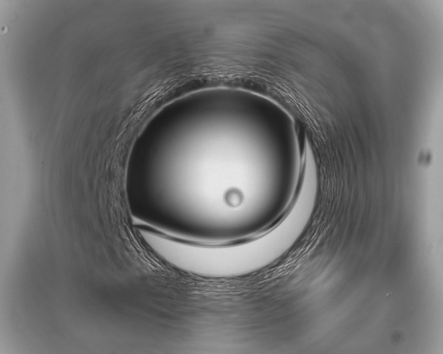 X0000096131153200801251009