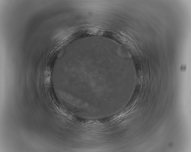 X0000096131154200801251009
