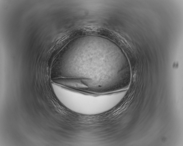 X0000096131156200801251009