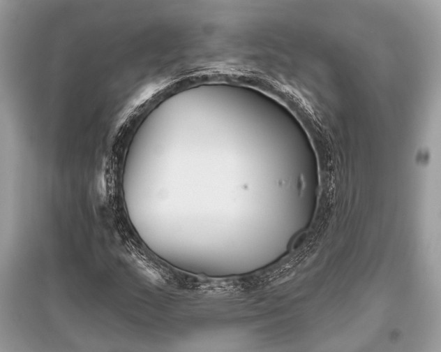 X0000096131159200801251009