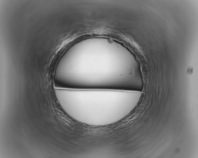 X0000096131160200801251009