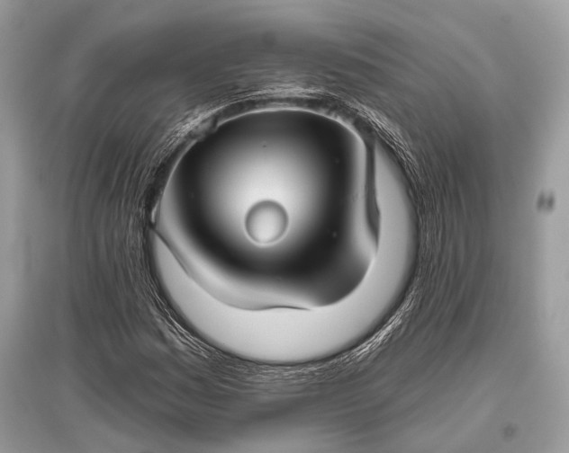 X0000096131161200801251009