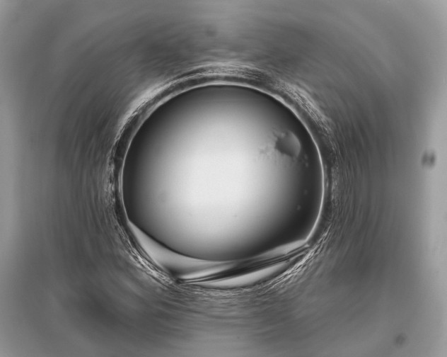 X0000096131164200801251009