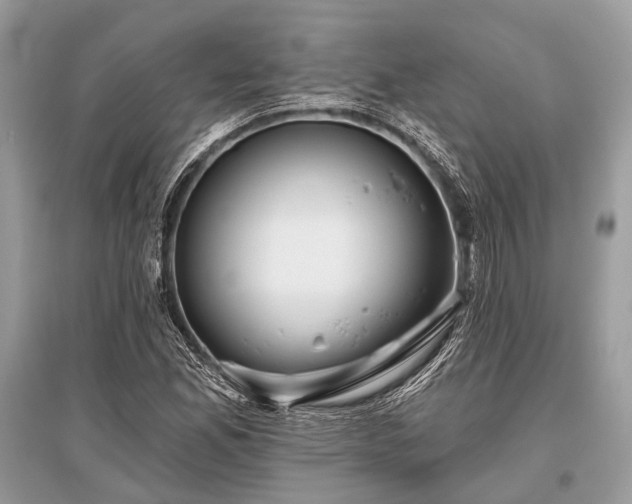 X0000096131165200801251009