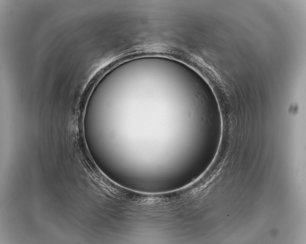 X0000096131166200801251009