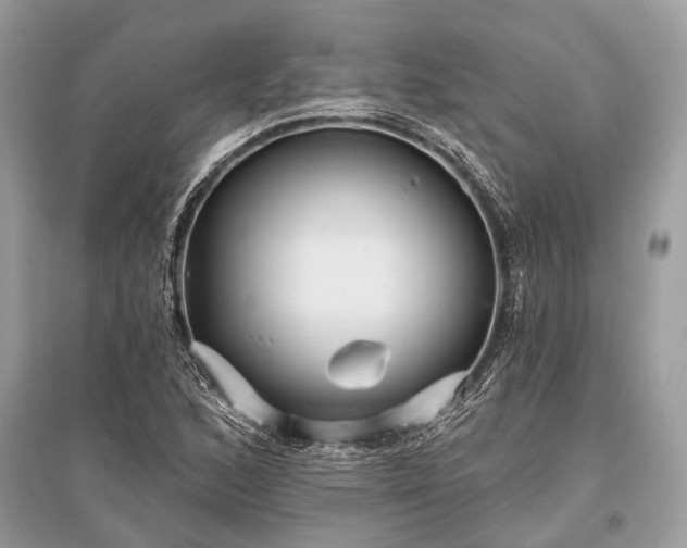 X0000096131168200801251009