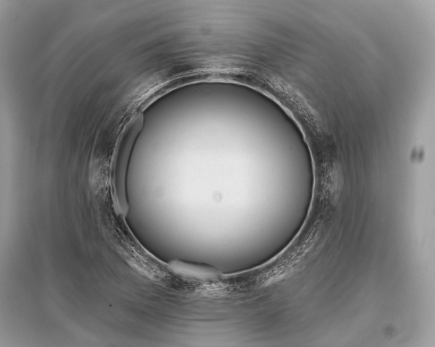 X0000096131169200801251009