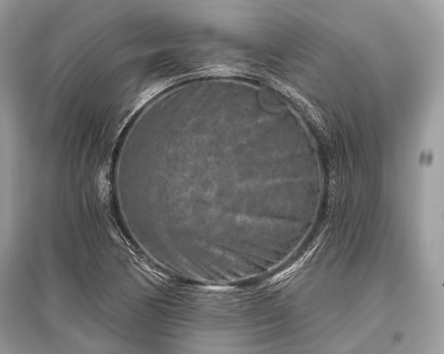 X0000096131170200801251009