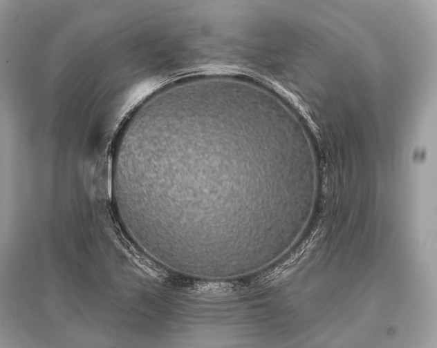 X0000096131171200801251009